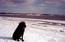 Tai on Milford Beach