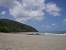 Cape Tribulation