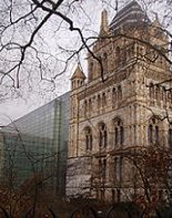 Glass facade of the Darwin Centre adjoining the Natural History Museum