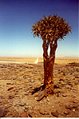 Namibian landscape