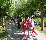 pupils in Spain