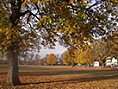 The Green, Twickenham